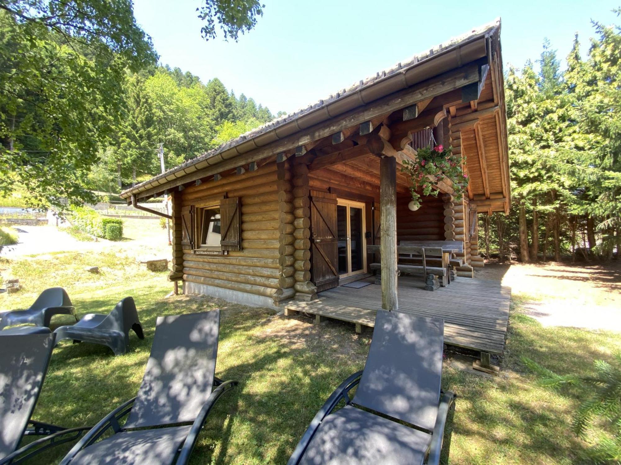 L'Oursblanc Chalet En Rondins La Bresse Eksteriør billede